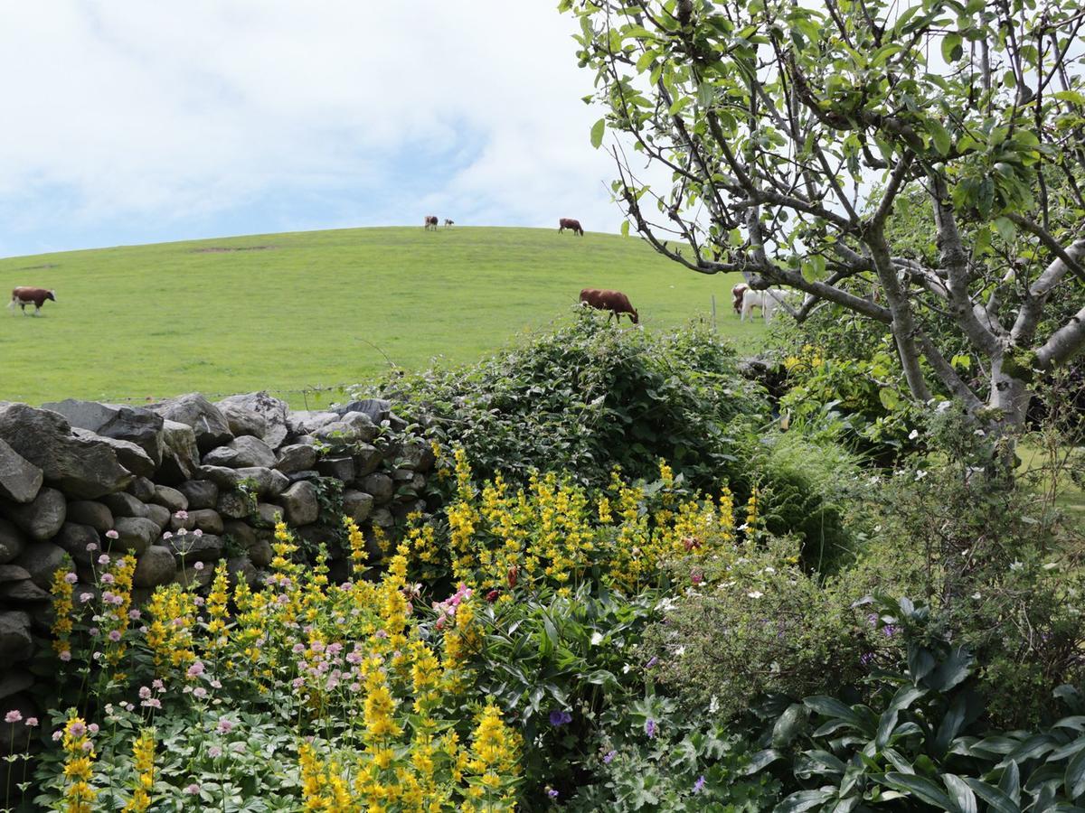 Waingate Cottage Cark Exteriér fotografie